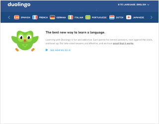 Duolingo educational platform