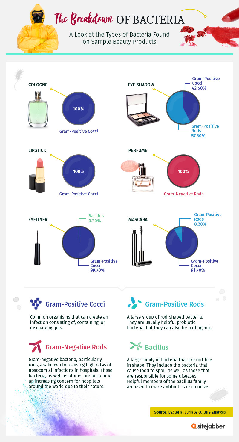 The breakdown of bacteria