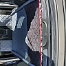 Dog Car Trunk Cover