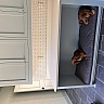 Rectangle Dog Bed Cushion
