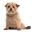 Regular builder что это. thumbnail tiny.1476463633. Regular builder что это фото. Regular builder что это-thumbnail tiny.1476463633. картинка Regular builder что это. картинка thumbnail tiny.1476463633