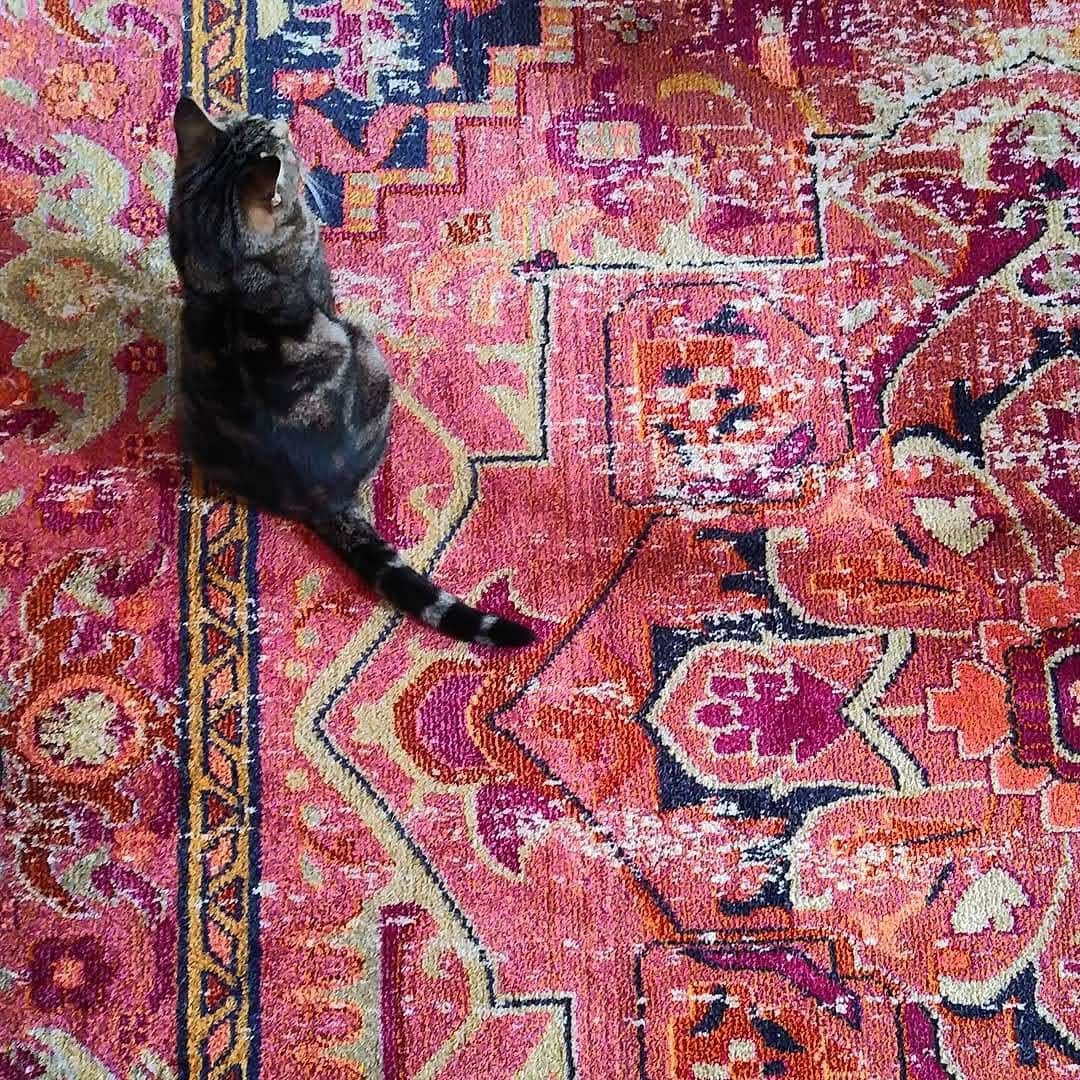 Reviews 2,661 Reviews of Sitejabber