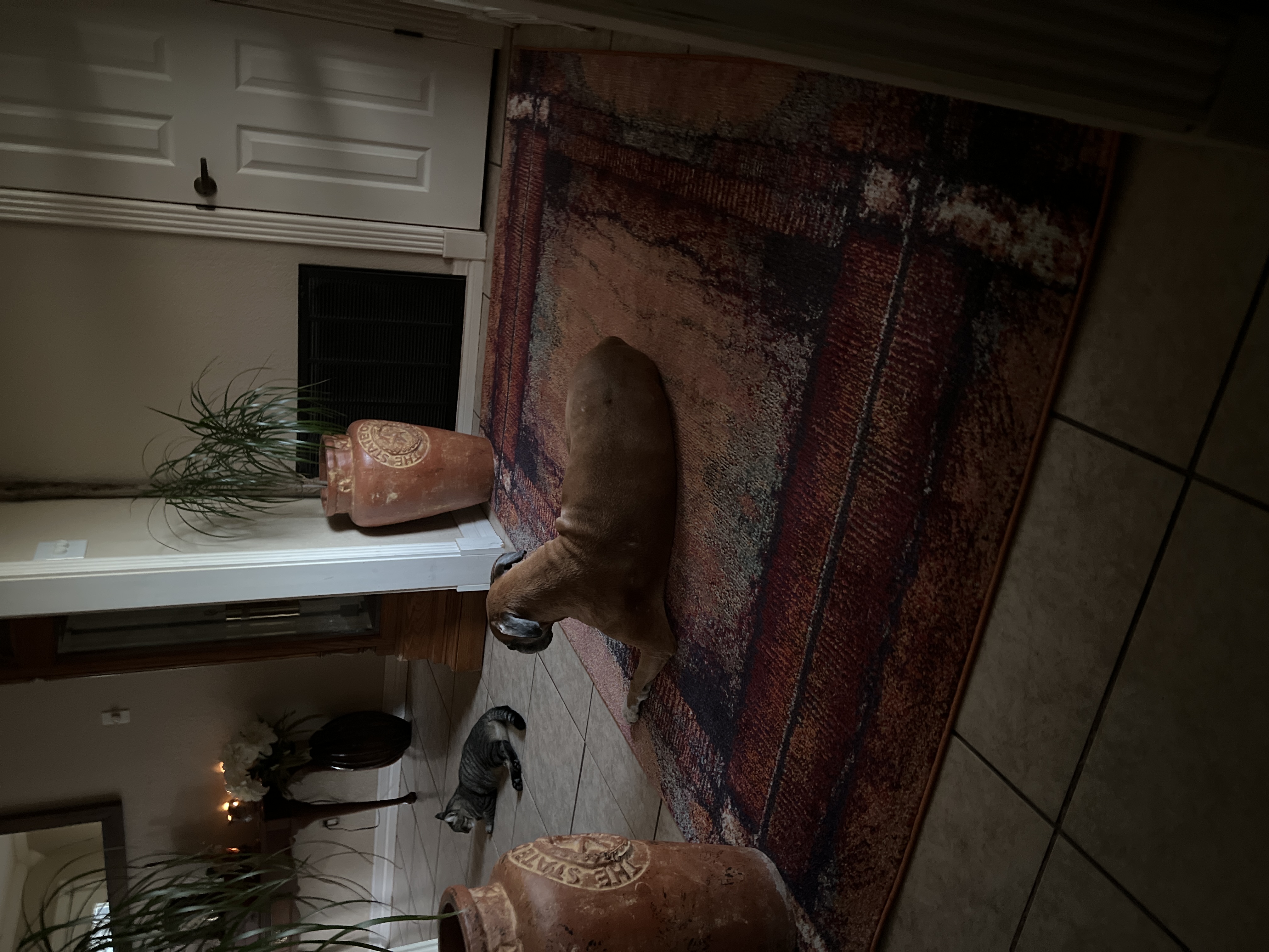 Reviews 3,126 Reviews of Sitejabber