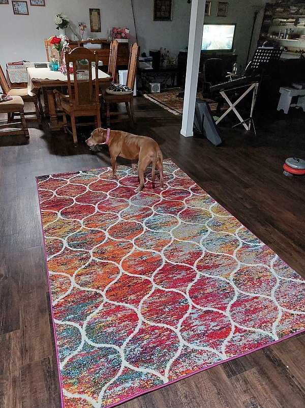 Reviews 2,946 Reviews of Sitejabber