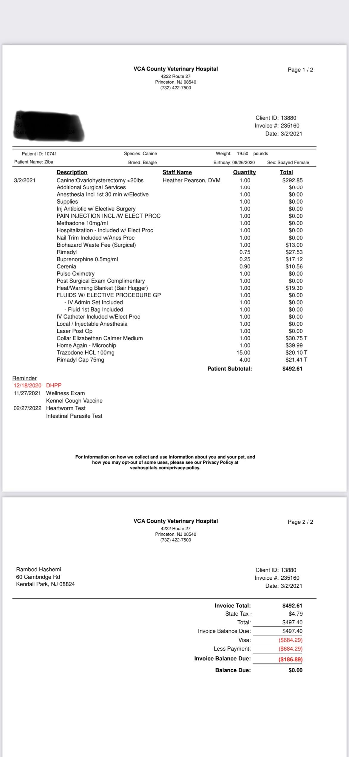 Vca Animal Hospital Prices Anything Information