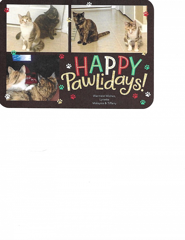 Simply to Impress Reviews 129 Reviews of Sitejabber