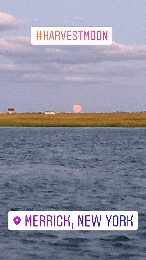 Boat ED Reviews 65 Reviews of Sitejabber