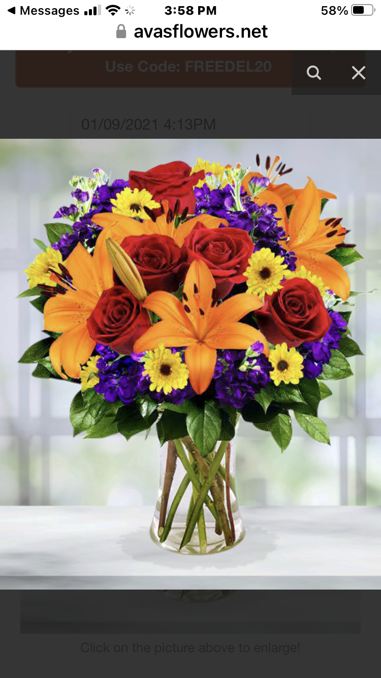 Reviews 672 Reviews of Sitejabber