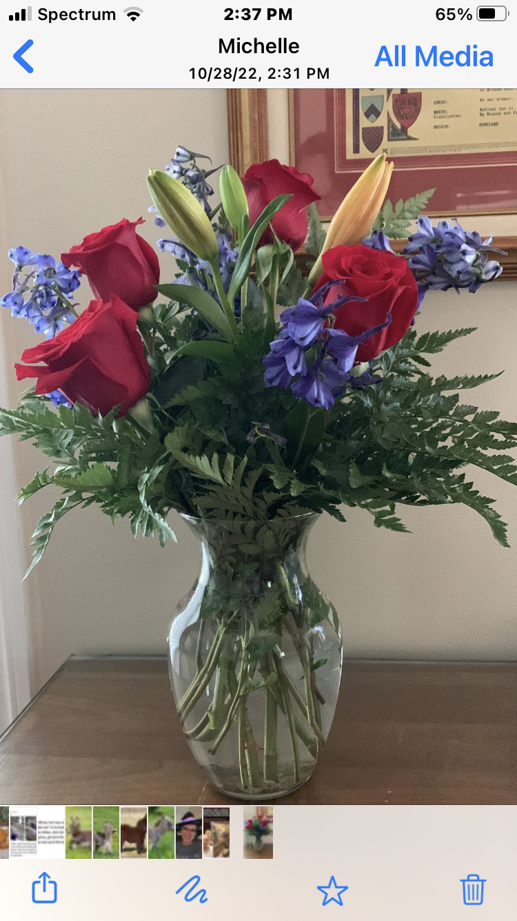 Reviews 672 Reviews of Sitejabber