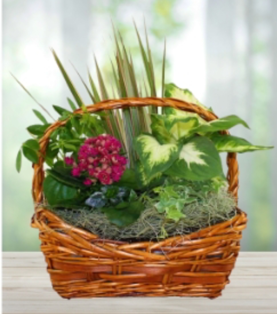 Reviews 506 Reviews of Sitejabber