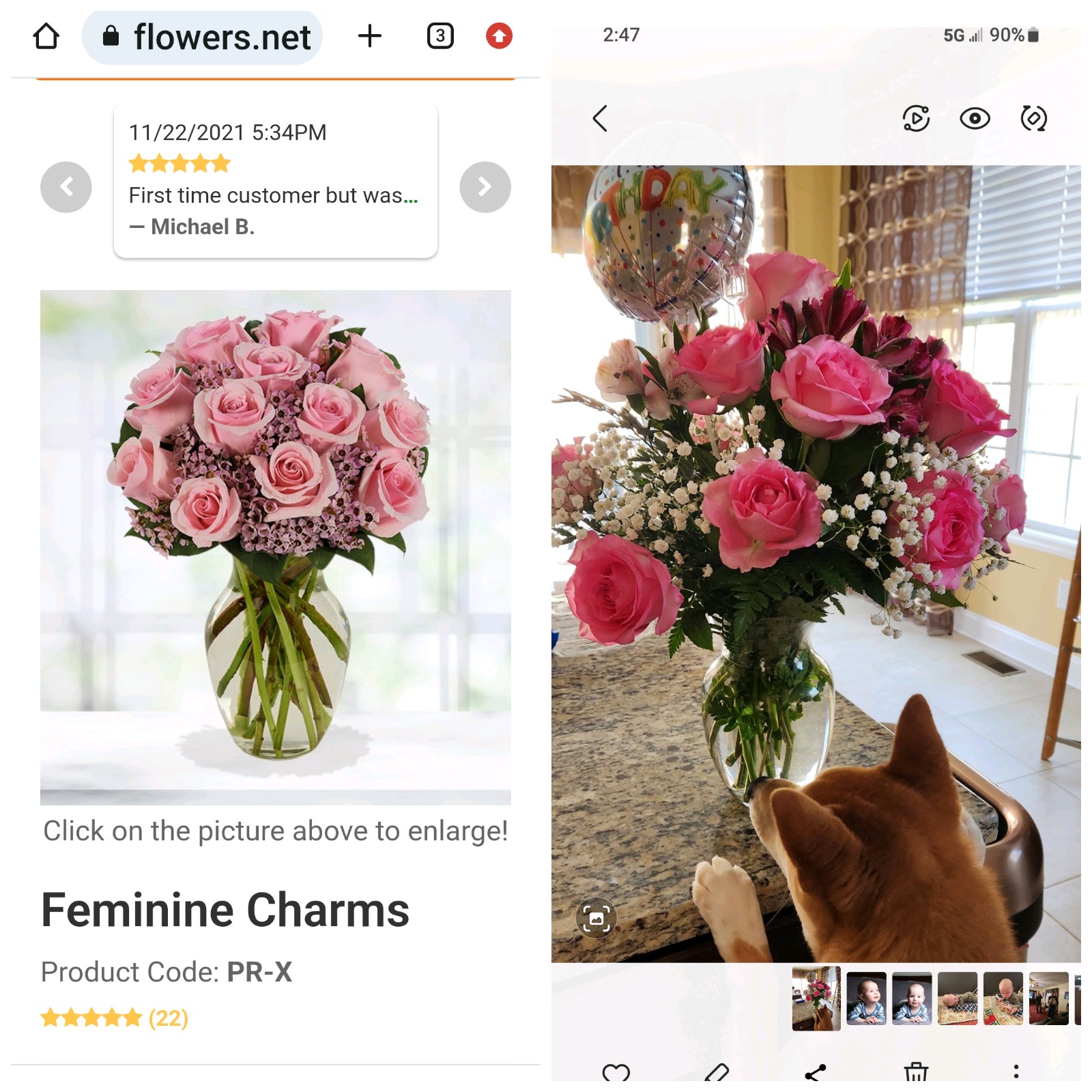 Reviews 672 Reviews of Sitejabber