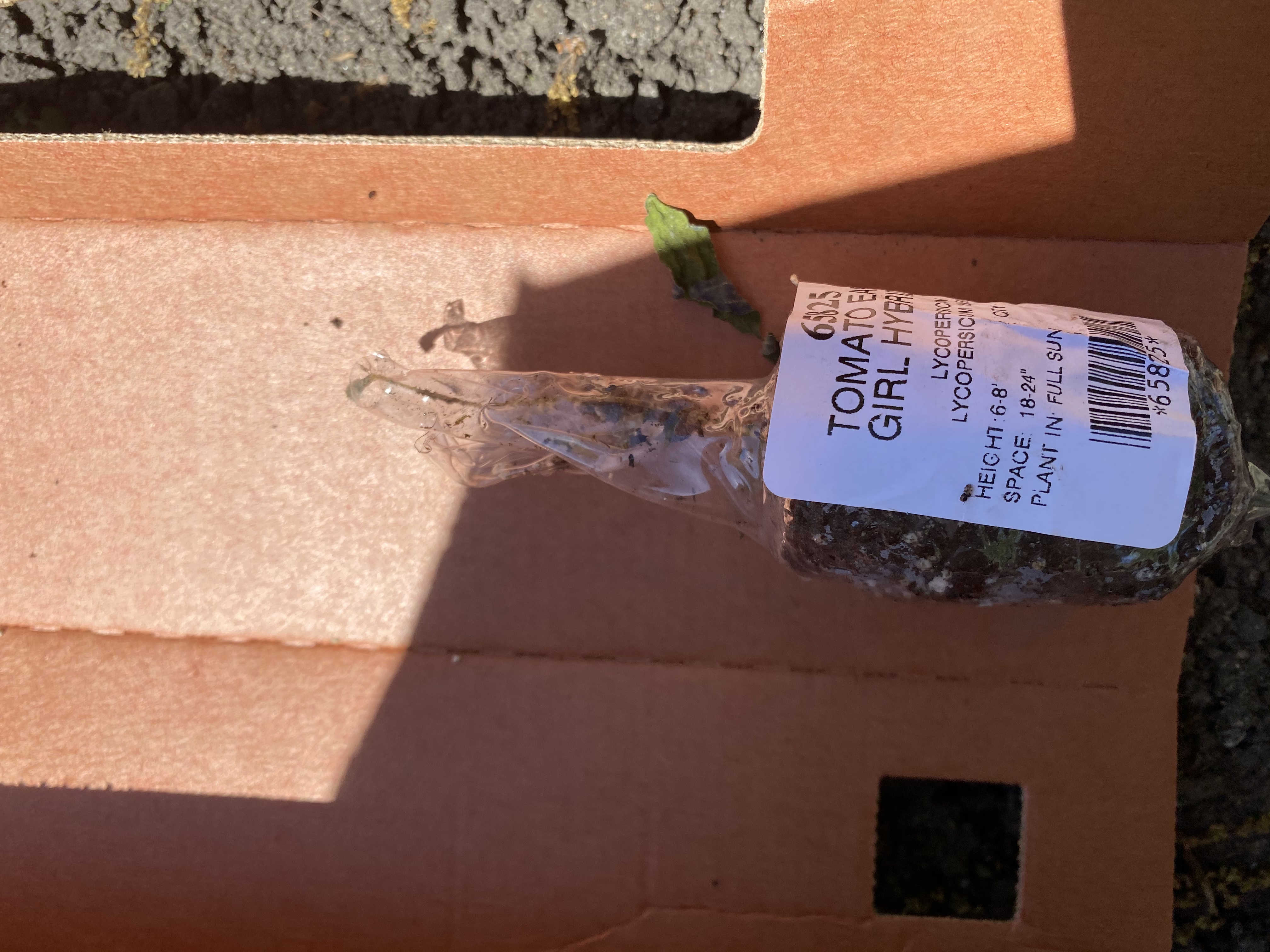 Gurney's Reviews 130 Reviews of Sitejabber