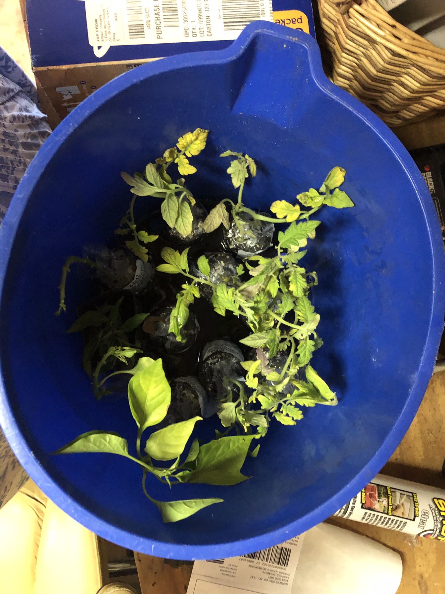 Gurney's Reviews 121 Reviews of Sitejabber