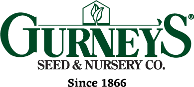 Gurney's