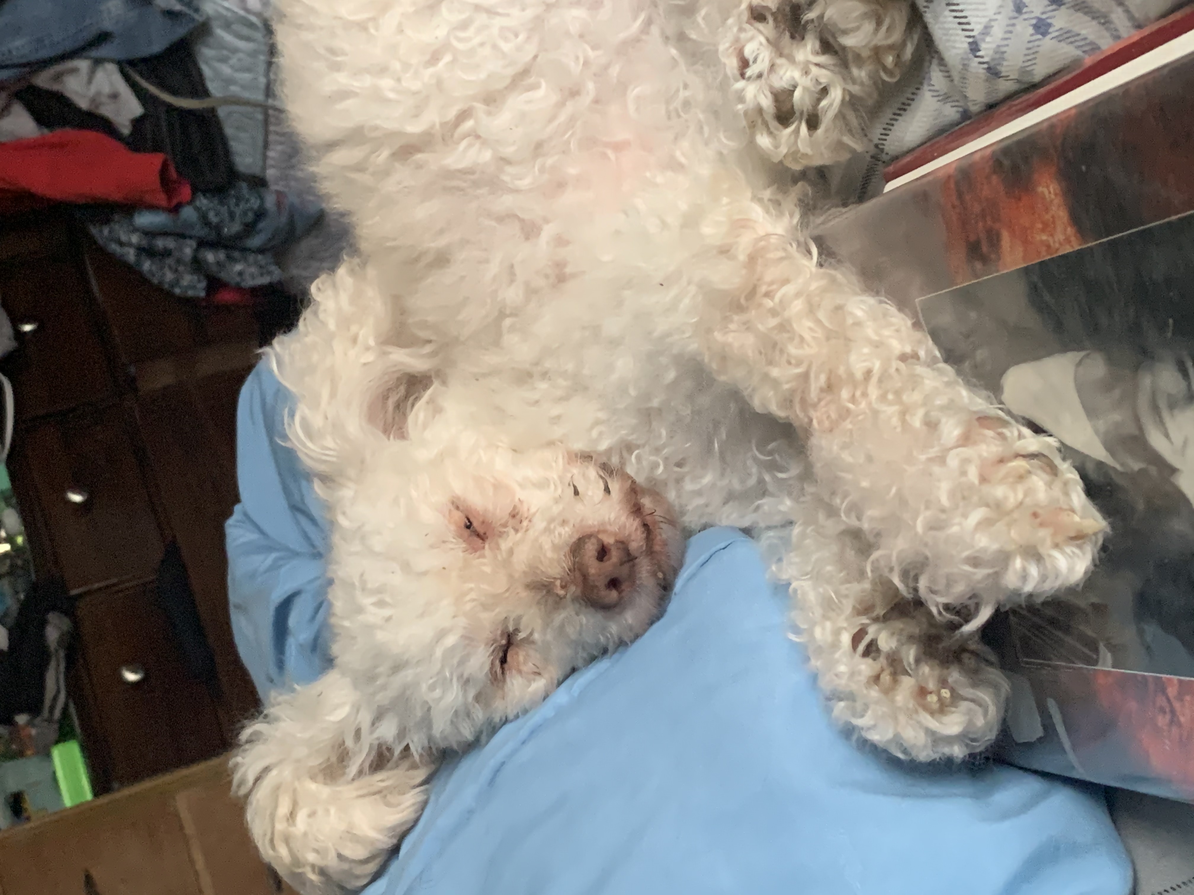 PetCareRx Reviews 555 Reviews of Sitejabber