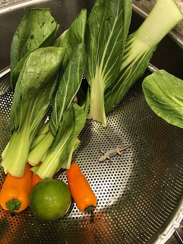 Blue Apron product 0