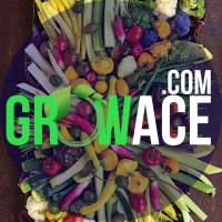 business logo of Growace