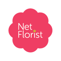 business logo of Netflorist.co.za