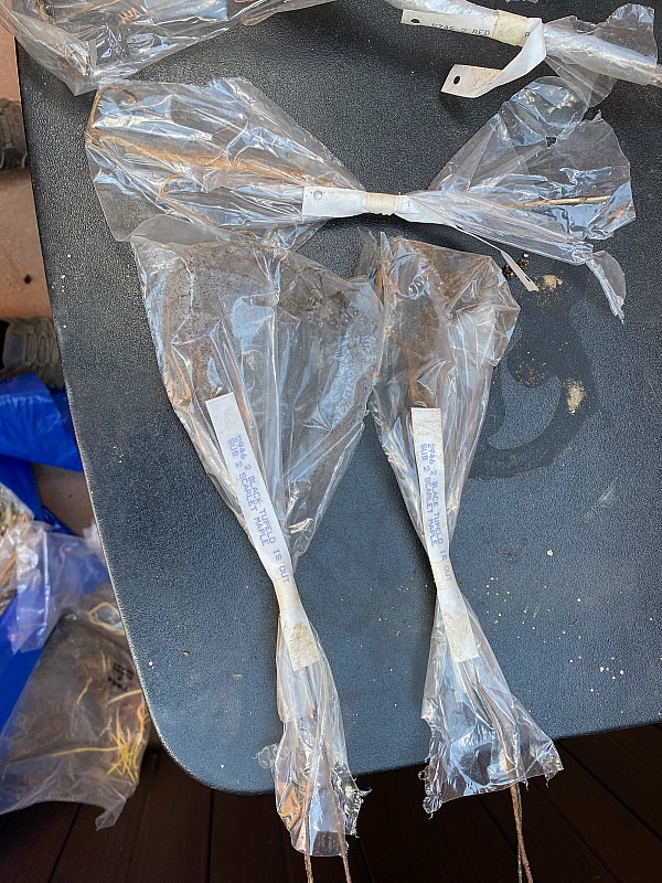 Kelly Nurseries Reviews 38 Reviews of Sitejabber