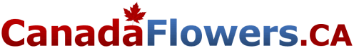 business logo of Canadaflowers.ca