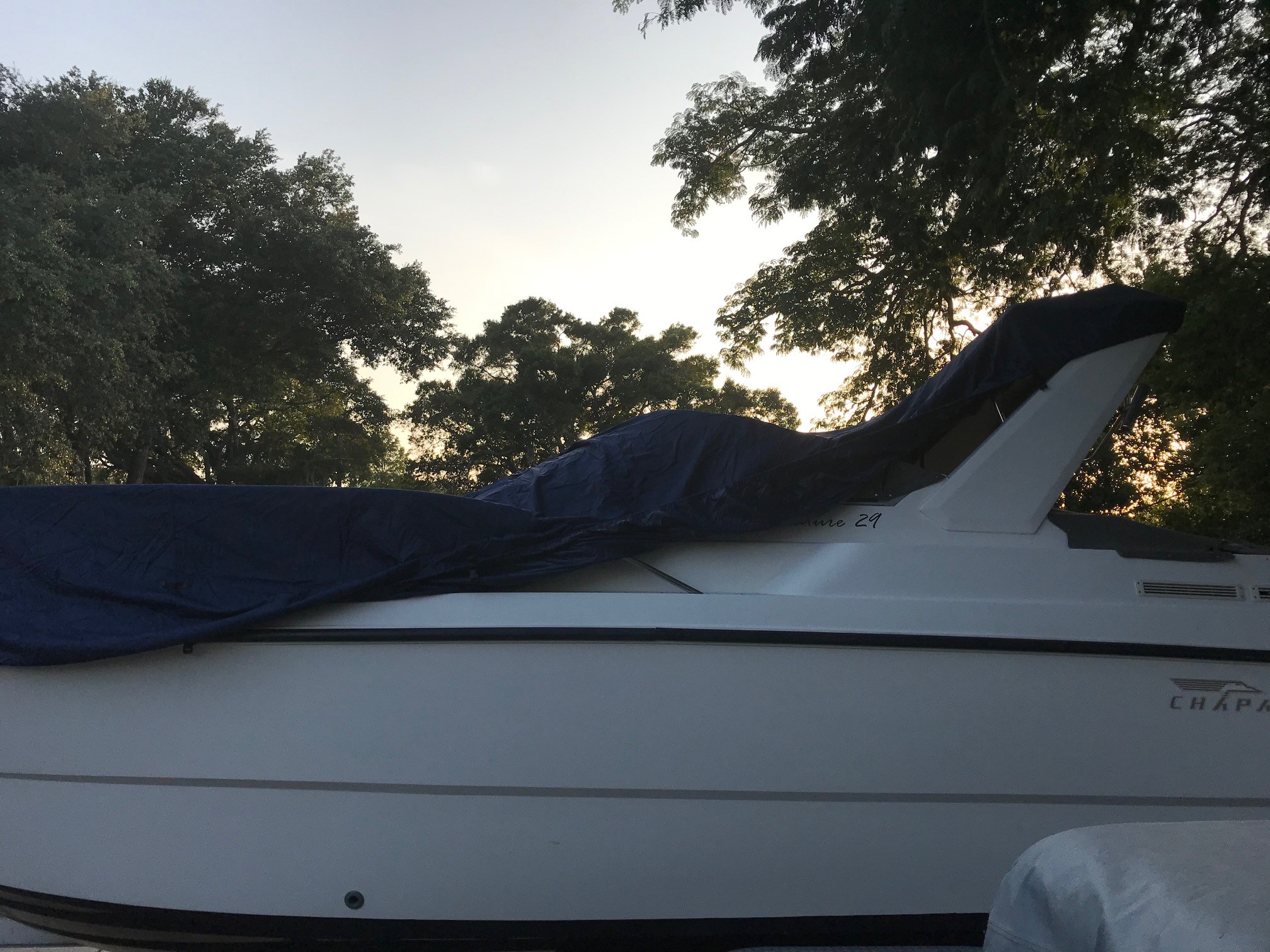 Seal Skin Covers Reviews 50,277 Reviews of