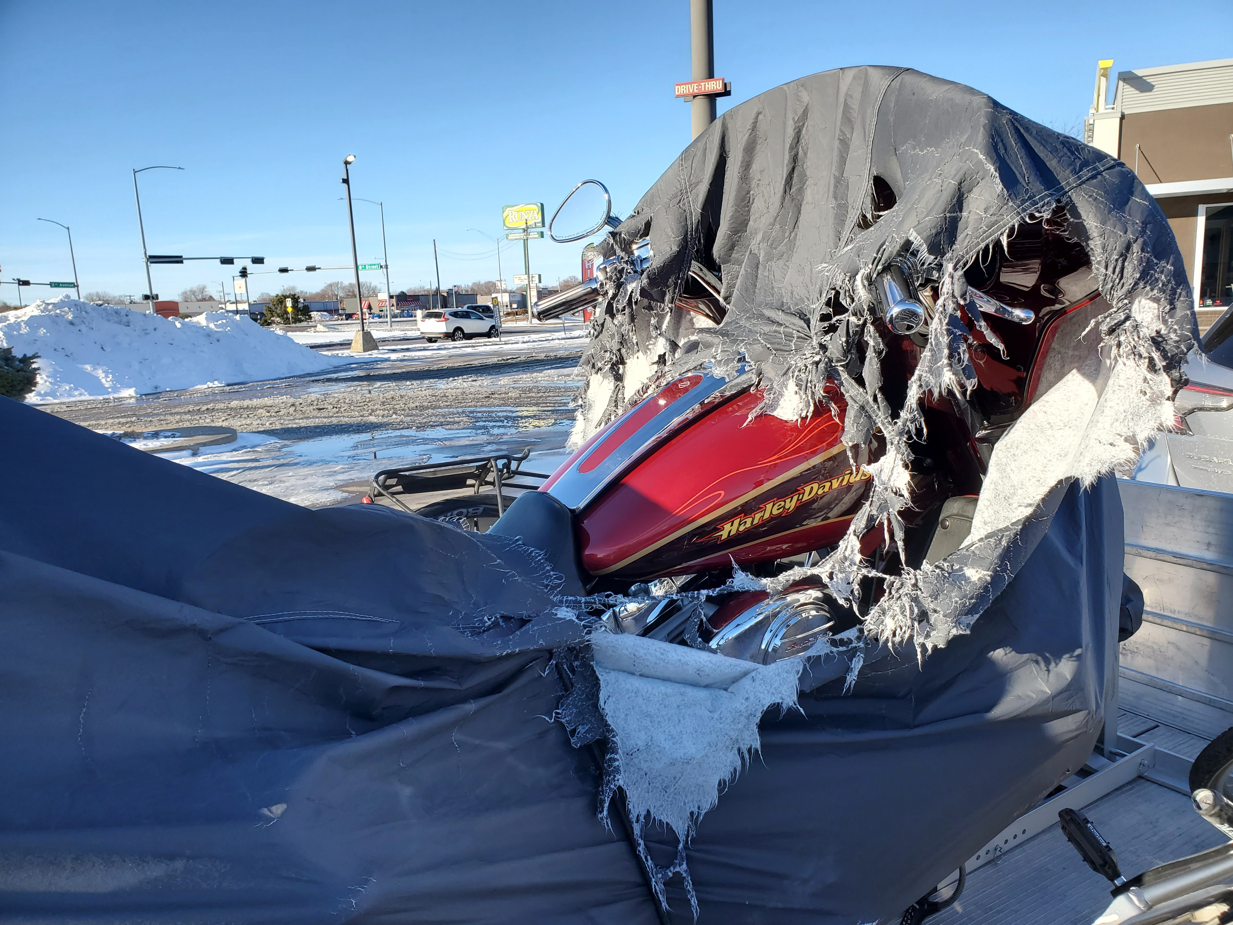 What to Do If Your Car is Covered in Ice – Seal Skin Covers