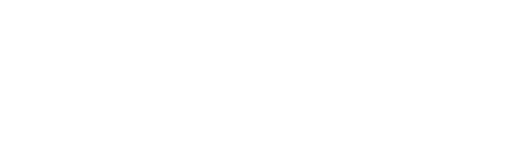 SALVEX
