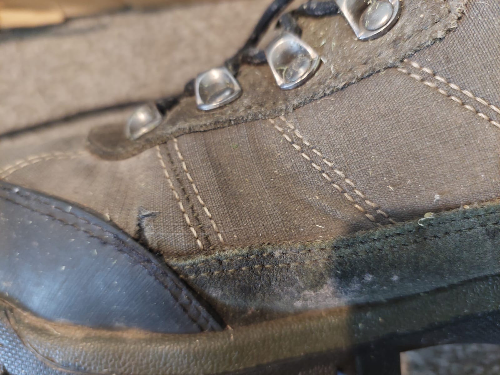 Mountain Warehouse Reviews 55 Reviews of