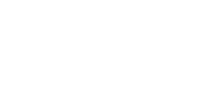 Social Catfish