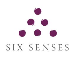 business logo of Sixsenses