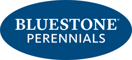 BluestonePerennials