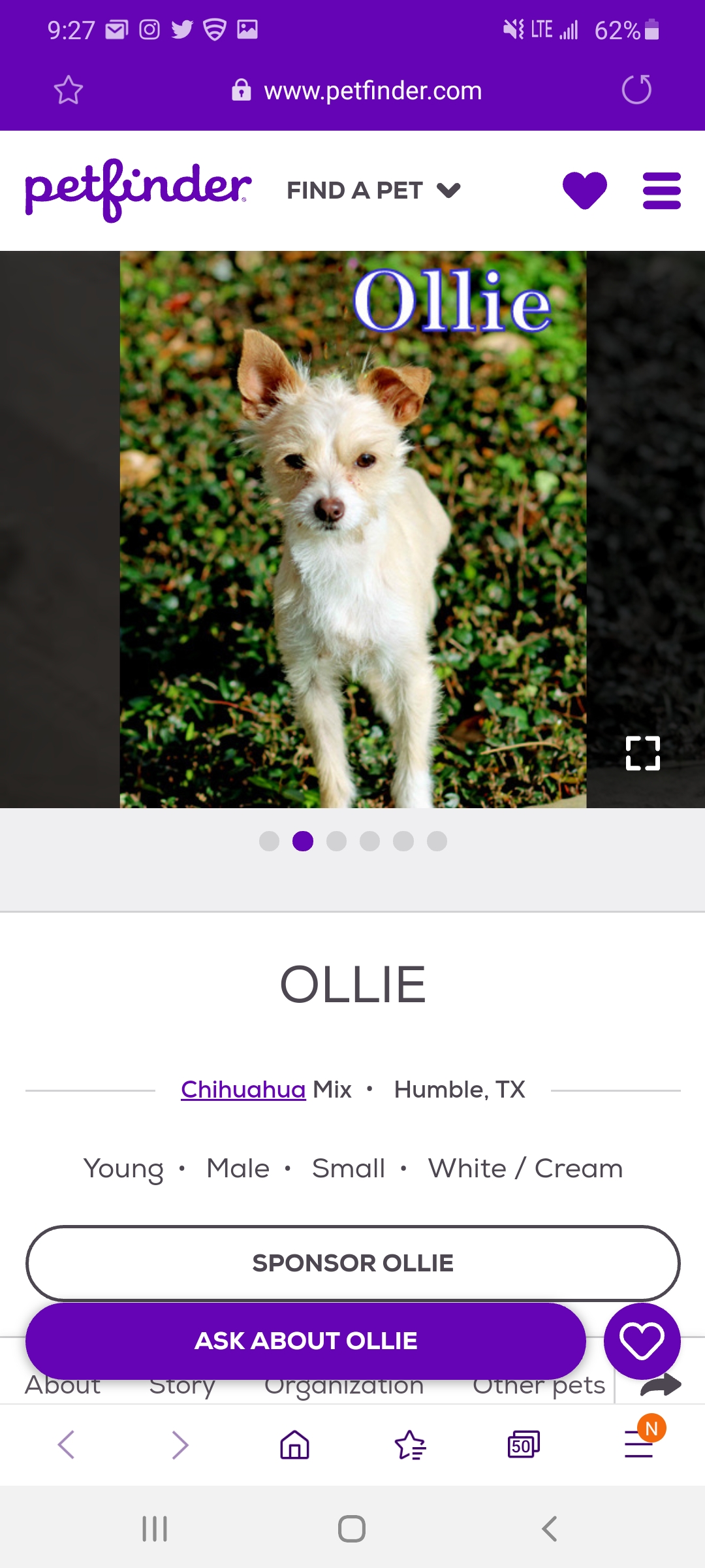 how much is it to adopt a dog on petfinder