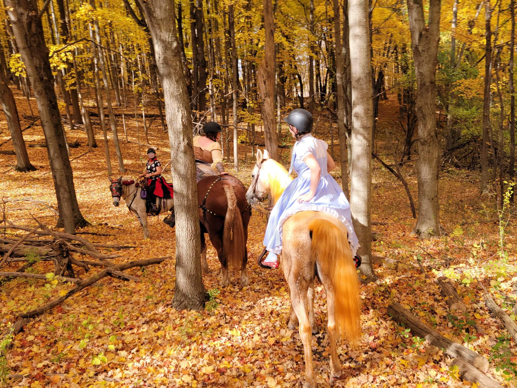 HalloweenCostumes Reviews 262 Reviews of