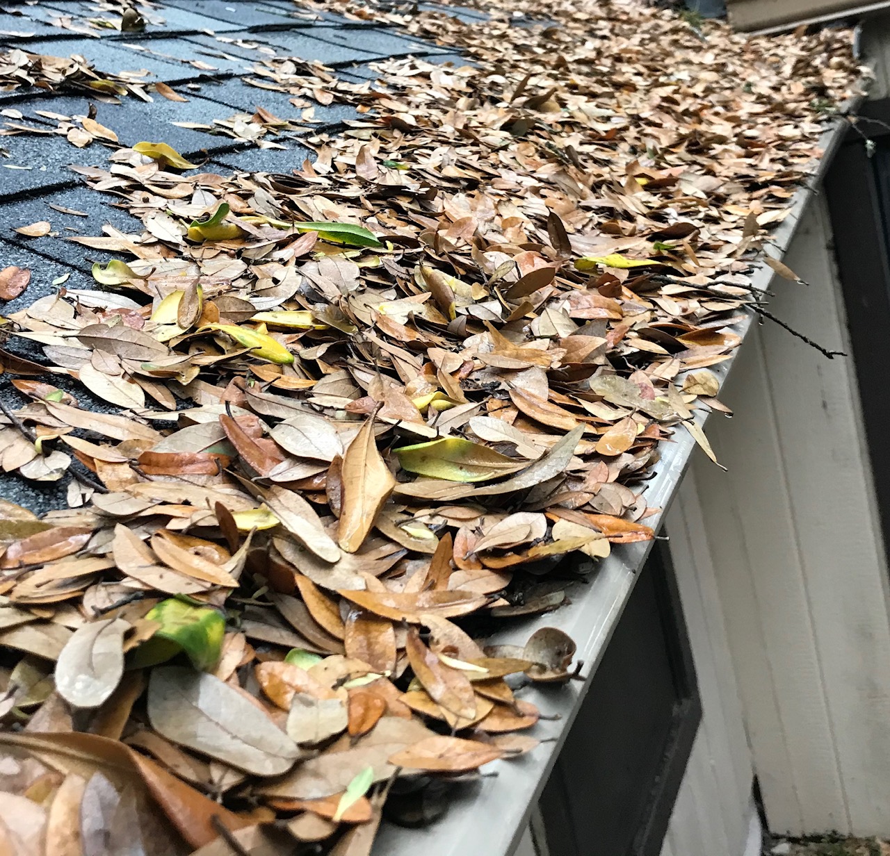 LeafFilter Gutter Protection Reviews 101 Reviews of