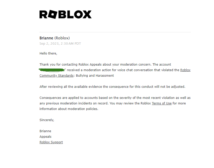 Roblox Website Review