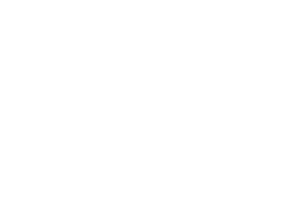 Passport Unlimited