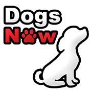business logo of DogsNow