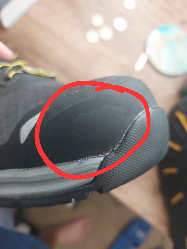 Zappos Reviews 722 Reviews of Sitejabber