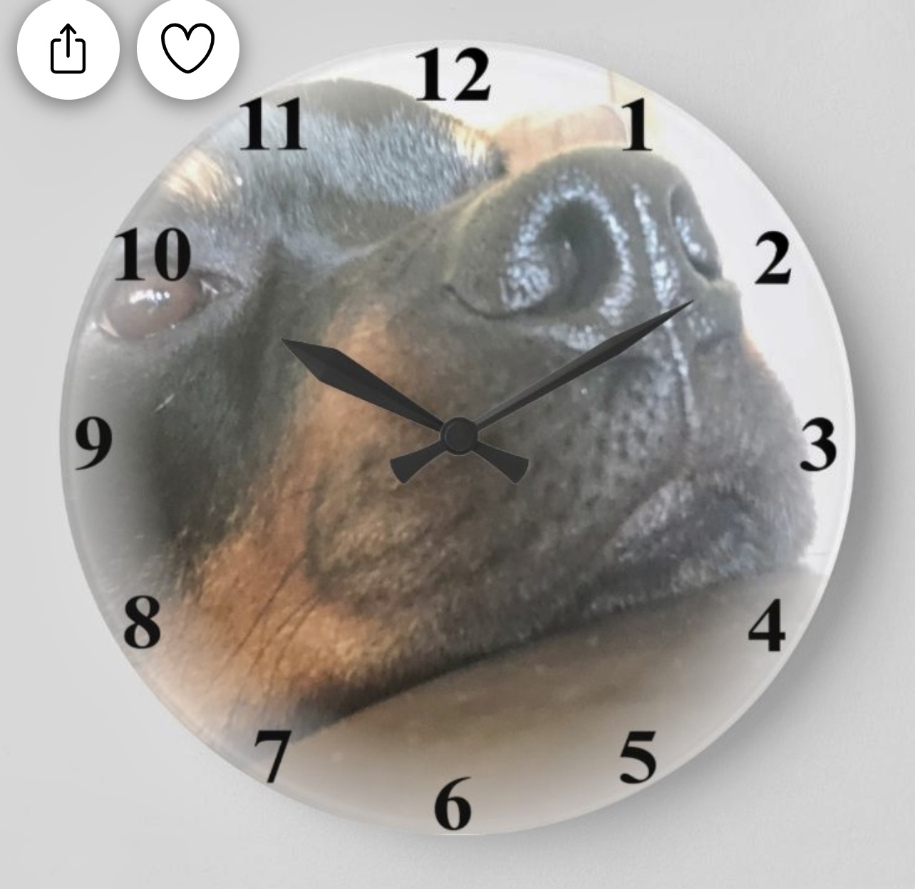 Zazzle Reviews 8,053 Reviews of Sitejabber