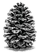 business logo of Southland Log Homes