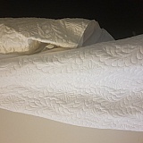 A min after taking the pictures of the cover while holding it against light. You can hardly tell there is anything wrong and that this mattress cover right here is a home of bedbugs. Had mine and my baby's skins not reacted, never would have known!