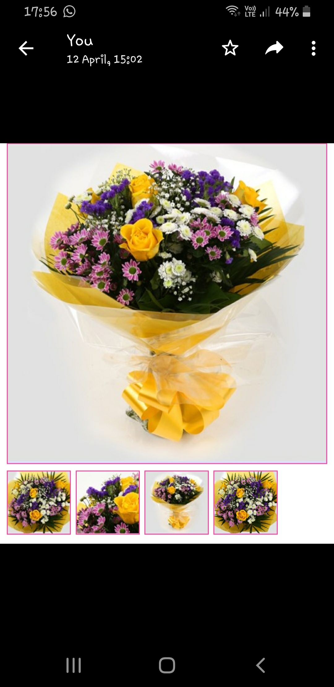 Lovely Flora World Reviews 639 Reviews of