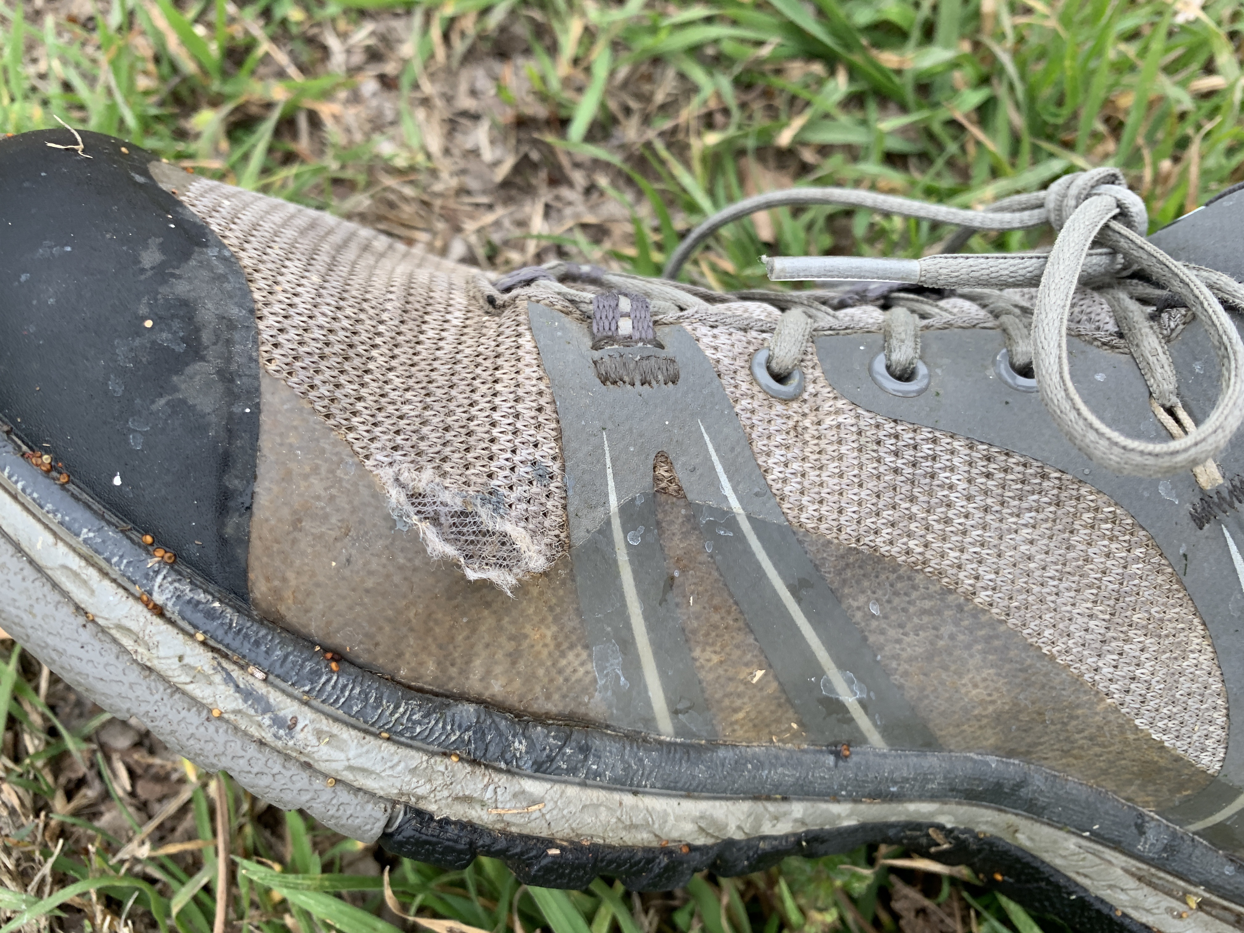Staff Review: KEEN Circadia & Terradora Hiking Boots – Sports Basement