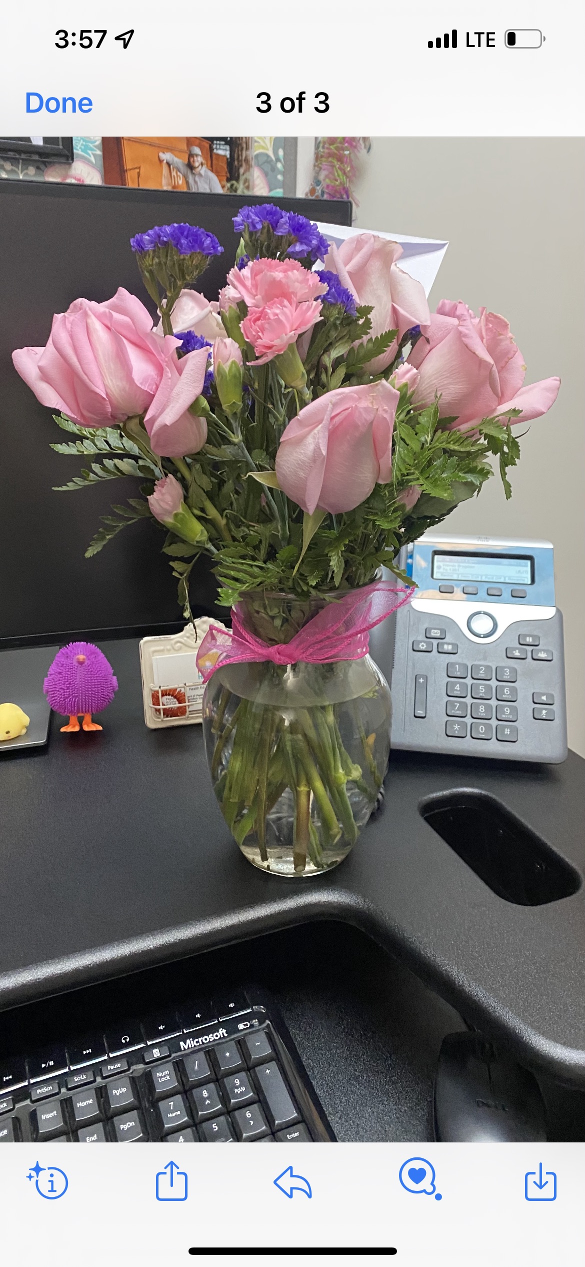 Avas Flowers Reviews 208 Reviews of Sitejabber