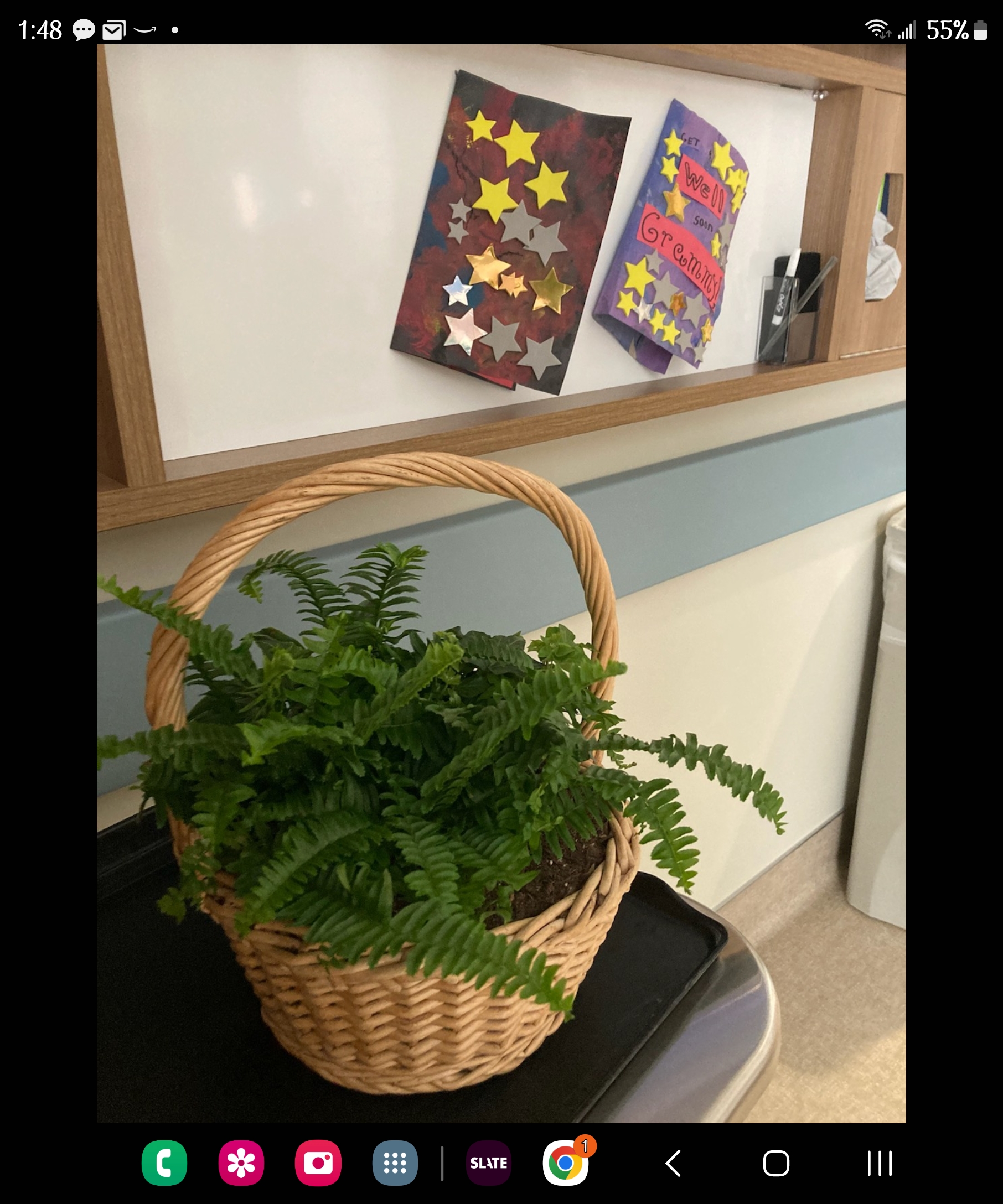 Avas Flowers Reviews 517 Reviews of Sitejabber