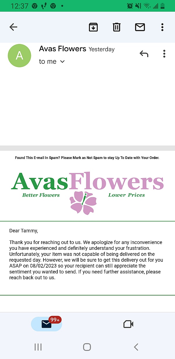 Avas Flowers Reviews 476 Reviews of Sitejabber