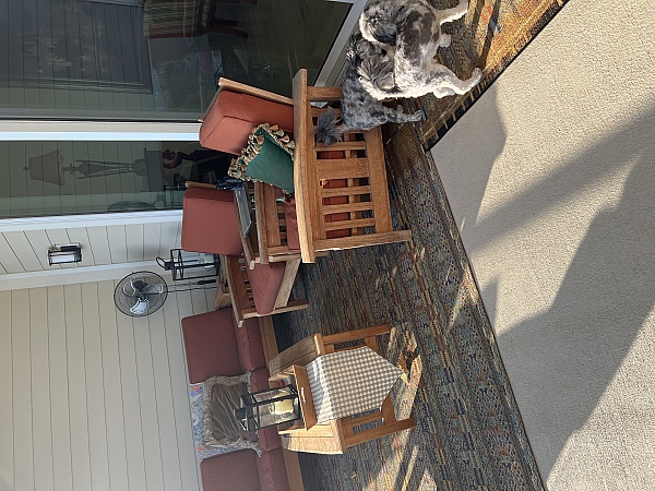 Overstock.com product 0