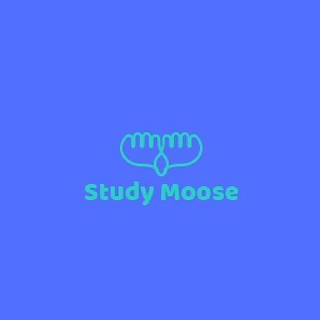Studymoose product 0