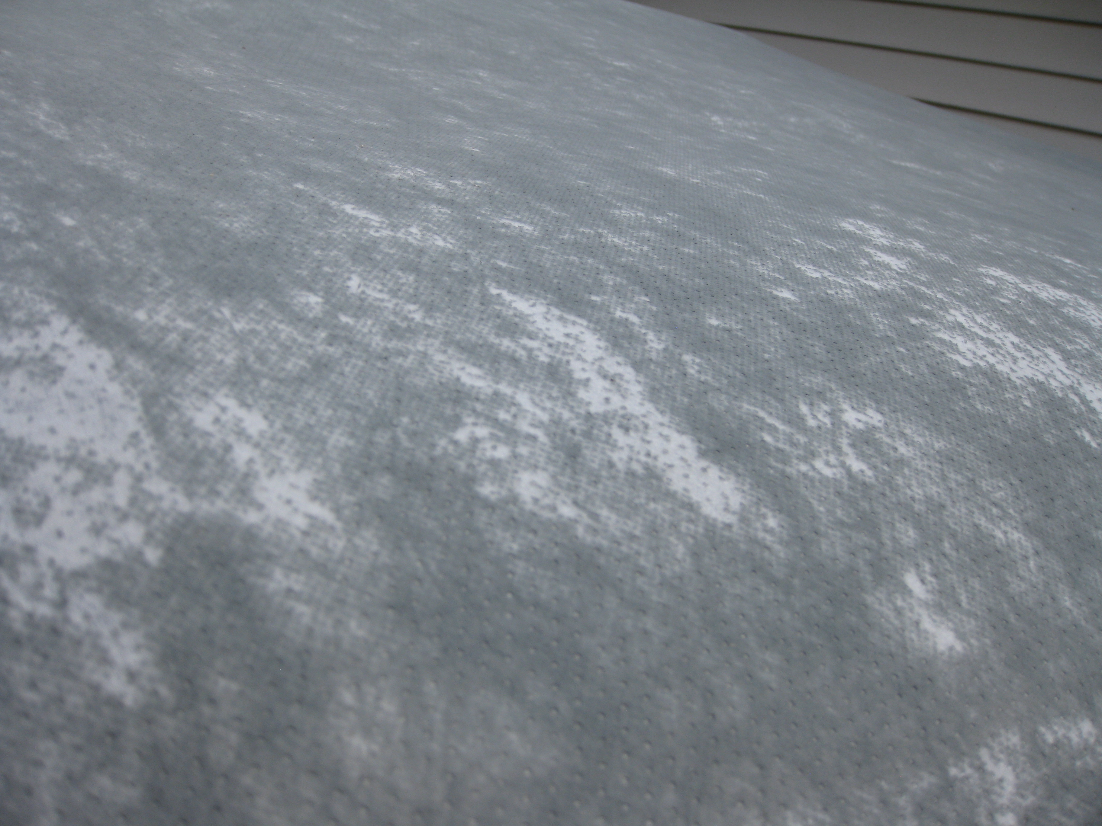 Cover Anything Reviews 34,381 Reviews of Sitejabber