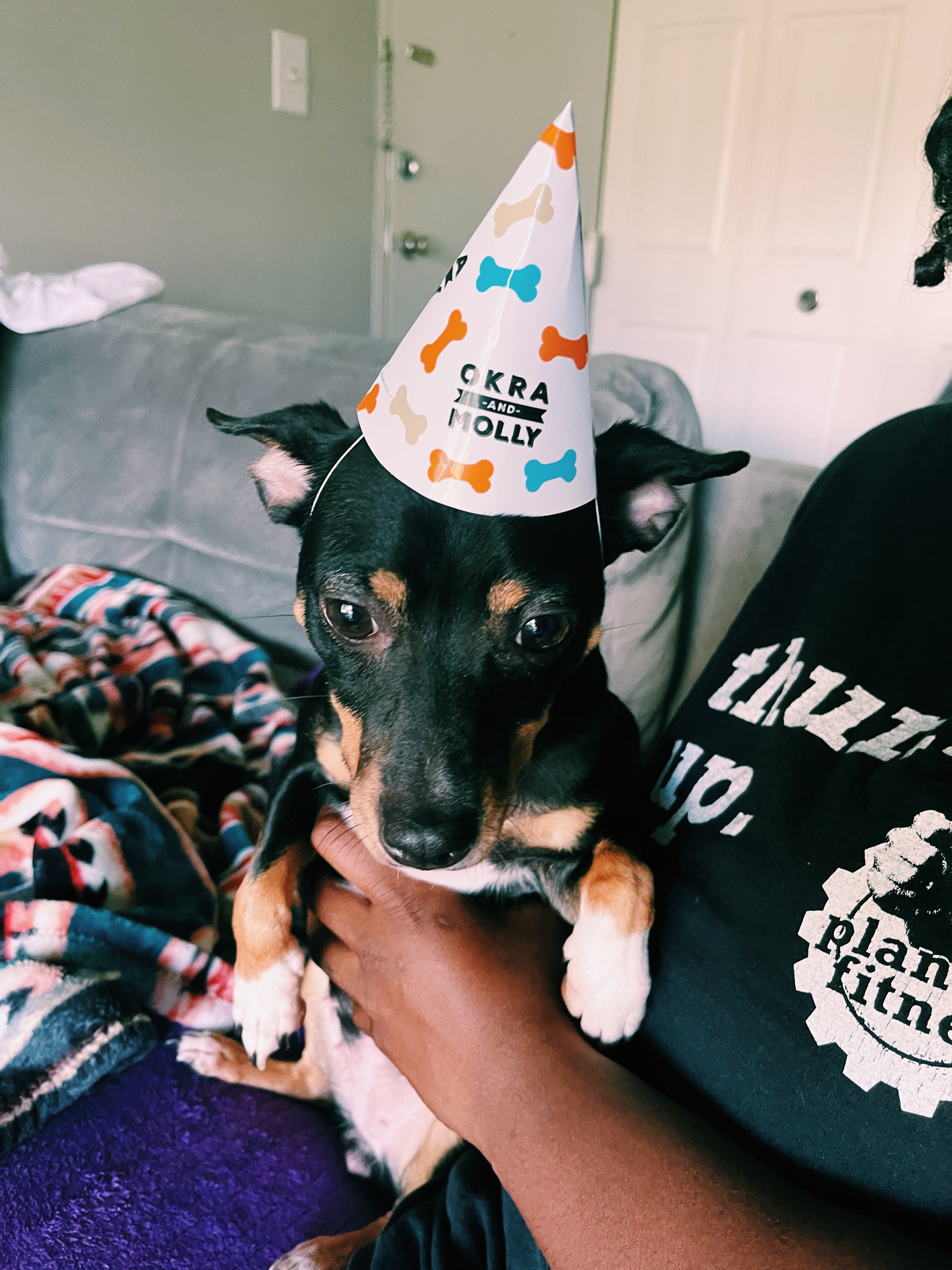 Okra and Molly Reviews 434 Reviews of Sitejabber